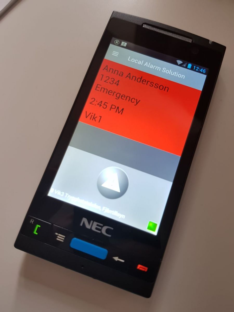 NEC DECT/WiFi G966